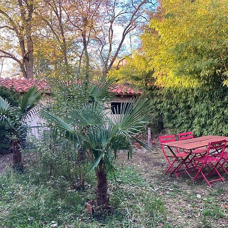 Un Jardin En Ville Toulouse Eksteriør billede